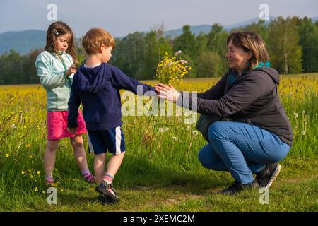 Mignon petit garçon tenant et donnant un bouquet de fleurs sauvages. Des enfants, un garçon et une fille, ramassaient des fleurs dans le pré pour leur mère. Da de mère Banque D'Images