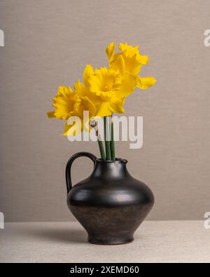 Trois jonquilles jaunes dans un vase foncé, dans une cruche sur un fond gris clair. Beaucoup d'espace pour les inscriptions. Carte postale, félicitations, souhaits. Banque D'Images