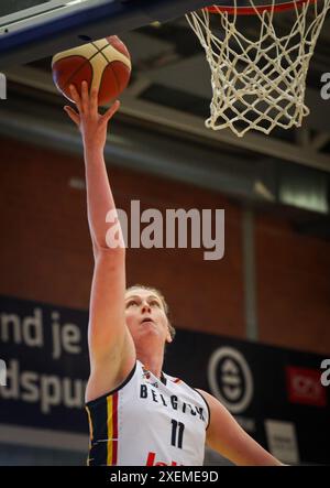 Kortrijk, Belgique. 28 juin 2024. La basket-ball belge Emma Meesseman se bat pour le ballon lors d'un match de basket-ball entre l'équipe nationale belge féminine 'The Belgian Cats' et la Chine, vendredi 28 juin 2024 à Kortrijk, lors d'un tournoi de préparation pour les Jeux olympiques d'été de 2024 à Paris, France. BELGA PHOTO VIRGINIE LEFOUR crédit : Belga News Agency/Alamy Live News Banque D'Images