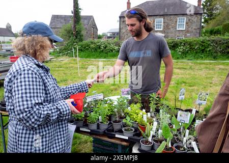 Jeune homme entrepreneur vendant des plantes herbes sur le stand de plantes de pépinière à la foire rurale de pays dans Carmarthenshire pays de Galles Royaume-Uni printemps mai 2024 KATHY DEWITT Banque D'Images