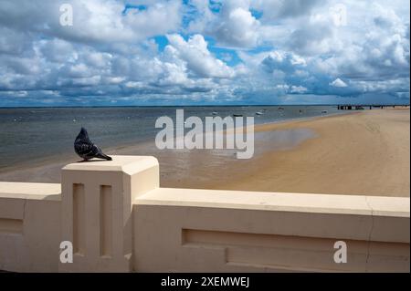 Marcher sur la promenade de la plage à Arcachon ensoleillé, ville de destination de vacances sur la côte atlantique avec de beaux parcs, villas, rues et plage de sable et épingle Banque D'Images