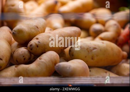 Pommes de terre Ratte, la Ratte, la Reine Ratte du Touquet ou Asparges, petites pommes de terre au goût unique de noisette et à la texture onctueuse et onctueuse. Banque D'Images