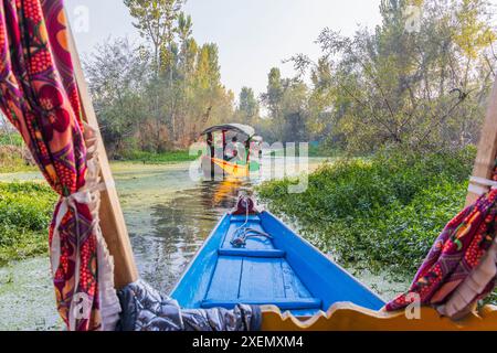 Rainawari, Srinagar, Jammu-et-Cachemire, Inde. Bateaux shikara traditionnels emmenant les touristes sur le lac Dal. Banque D'Images