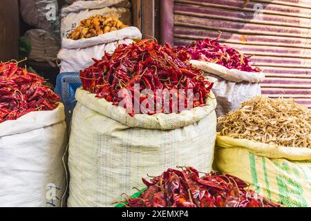 Sokalipura, Srinagar, Jammu-et-Cachemire, Inde. Piments Chili séchés dans un magasin à Srinagar. Banque D'Images