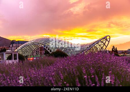 Tbilissi, Géorgie - 16 juin 2024 : le pont de la paix est un pont piétonnier en forme d'arc, une construction en acier et en verre au-dessus de la rivière Kura, reliant t Banque D'Images