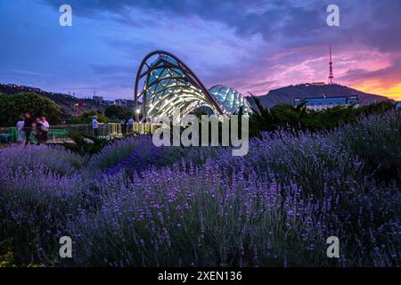 Tbilissi, Géorgie - 16 juin 2024 : le pont de la paix est un pont piétonnier en forme d'arc, une construction en acier et en verre au-dessus de la rivière Kura, reliant t Banque D'Images