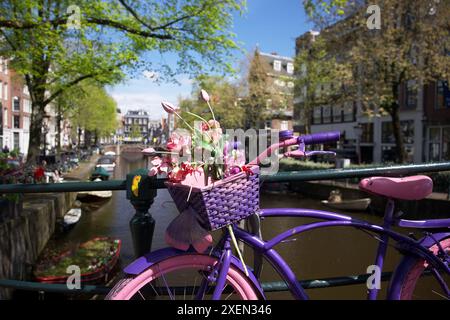 Vélo rose avec des fleurs sur un pont près d'un canal à Amsterdam Banque D'Images