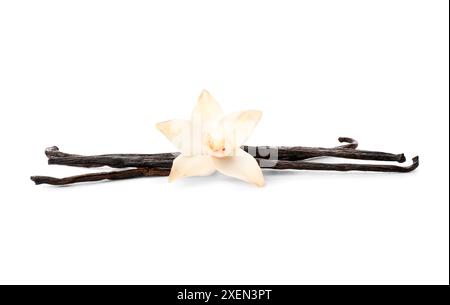 Belle fleur de vanille avec des bâtons isolés sur fond blanc Banque D'Images
