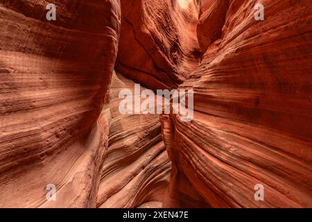 Les couloirs striés de Mystic Canyon sont incroyables à parcourir et à explorer. Des éons d'érosion ont créé des exploits étonnants de la nature Banque D'Images