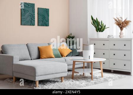 Humidificateur moderne sur la table basse près de la commode dans le salon élégant Banque D'Images