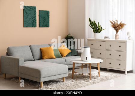 Humidificateur moderne sur la table basse près de la commode dans le salon élégant Banque D'Images