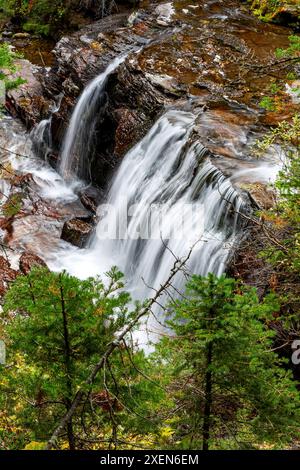 Cascades dans un ruisseau coulant le long d'une paroi rocheuse avec des arbres à feuilles persistantes au premier plan dans le parc national des Lacs Waterton ; Waterton, Alberta, Canada Banque D'Images