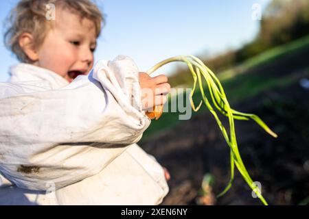 Un jeune enfant tient une pousse d'oignon fraîchement tirée dans sa main, explorant le jardin par une journée ensoleillée. Banque D'Images