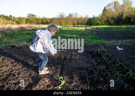 Un jeune enfant se penche dans un lit de jardin, plantant des cultures dans la terre. Banque D'Images