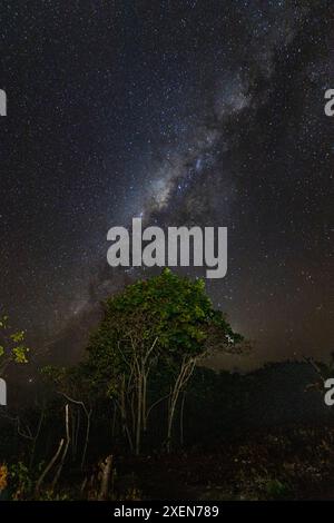 Galaxie de la voie lactée dans le ciel nocturne au-dessus de la plage de Mbawana en Indonésie ; Kodi Bangedo, Régence de Sumba du Sud-Ouest, est de Nusa Tenggara, Indonésie Banque D'Images