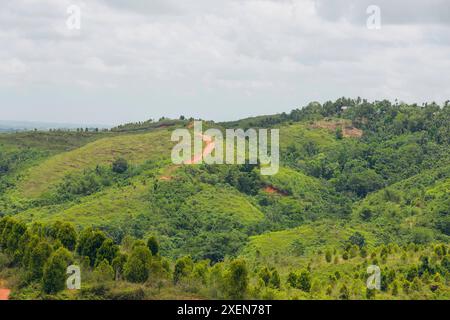 Chemin de terre serpentant à travers le paysage vallonné luxuriant de West Sumba Regency, Indonésie ; Sumba, petites îles de la Sunda, Indonésie Banque D'Images