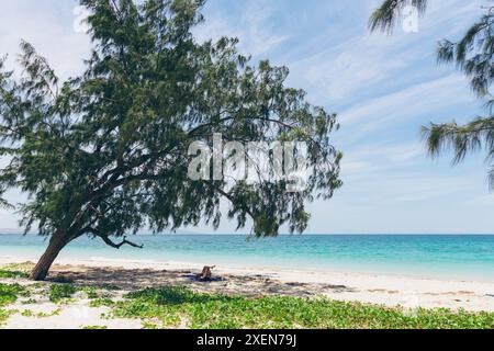 Détente sur une plage tropicale sur l'océan Indien dans les petites îles Sunda d'Indonésie ; Régence de Sumba est, Nusa Tenggara est, Indonésie Banque D'Images