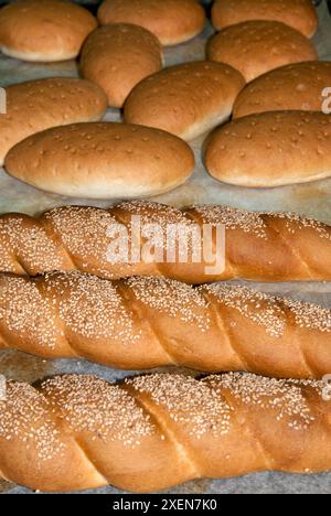 Petits pains au levain, cuits dans le laboratoire du boulanger, Italie. Banque D'Images