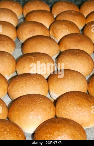 Petits pains au levain, cuits dans le laboratoire du boulanger, Italie. Banque D'Images