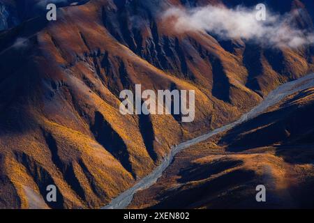 Le soleil de fin d'après-midi illumine les couleurs d'automne sur les pentes tandis que Nines Creek coule à travers les montagnes sur son chemin vers l'océan Arctique Banque D'Images