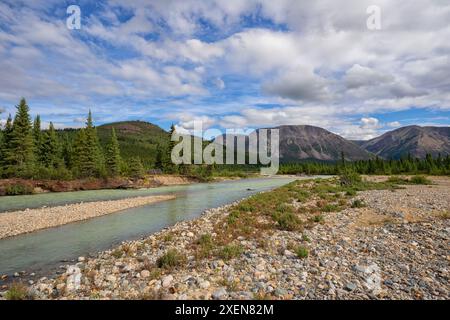 Vue le long de la rivière Wheaton qui coule vers le fleuve Yukon, par une belle journée d'été ; Whitehorse, Yukon, Canada Banque D'Images