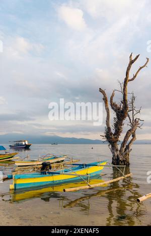 Des bateaux et des mangroves le long du rivage sur l'île de Bunaken en Indonésie ; Bunaken, Sulawesi du Nord, Indonésie Banque D'Images