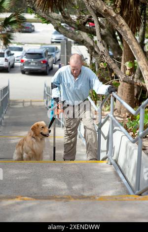 Homme paraplégique grimpe les marches avec une main courante, une béquille d'avant-bras et un chien d'assistance ; Boynton Beach, Floride, États-Unis d'Amérique Banque D'Images