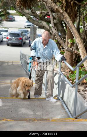 Homme paraplégique grimpe les marches avec une main courante, une béquille d'avant-bras et un chien d'assistance ; Boynton Beach, Floride, États-Unis d'Amérique Banque D'Images