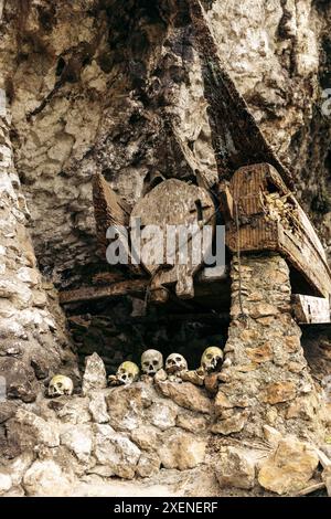 Crânes exposés dans l'ancien village de Ke'te Kesu' dans les Highlands de Toraja, Indonésie Banque D'Images