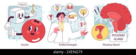 Organes du système endocrinien et ensemble pathologique. Le fonctionnement des glandes humaines. Hypophyse, surrénale et thyroïde. Sécrétion d'hormones humaines et. équilibre. Régulation du métabolisme. Illustration vectorielle plate Illustration de Vecteur