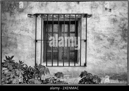 États-Unis, Californie, Carmel. À l'intérieur du parc du musée de la Basilique de la Mission Carmel Banque D'Images