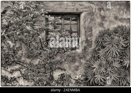 États-Unis, Californie, Carmel. À l'intérieur du parc du musée de la Basilique de la Mission Carmel Banque D'Images