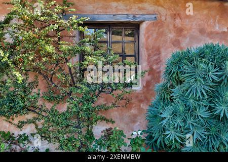 États-Unis, Californie, Carmel. À l'intérieur du parc du musée de la Basilique de la Mission Carmel Banque D'Images