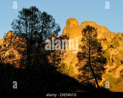 Pinnacles National Park, Californie Banque D'Images