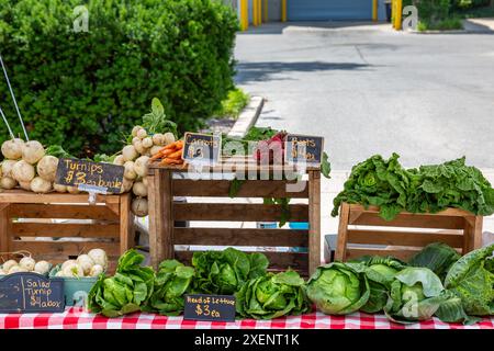 Produits frais en vente au marché des agriculteurs YLNI à Fort Wayne, Indiana, États-Unis. Banque D'Images