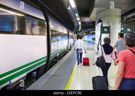 Train à grande vitesse. Station sans. Barcelone. Catalogne. Espagne. Banque D'Images