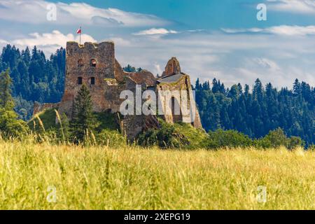 Ruines restaurées du château à Czorsztyn au bord du lac, attraction touristique, place Instagram en Pologne Banque D'Images