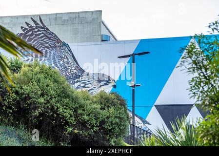 Une fresque géante de Kārearea (Faucon) dans le centre de Hamilton, Nouvelle-Zélande par Charles Williams (Ngāti Kahungunu, Ngāi Tūhoe, Ngāti Tūwharetoa, Ngāpuhi) Banque D'Images