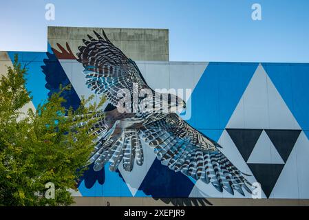 Une fresque géante de Kārearea (Faucon) dans le centre de Hamilton, Nouvelle-Zélande par Charles Williams (Ngāti Kahungunu, Ngāi Tūhoe, Ngāti Tūwharetoa, Ngāpuhi) Banque D'Images