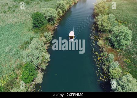 Touristes appréciant une excursion écologique sur un bateau au lac Skadar sur leur voyage pour l'observation des oiseaux et pour les nénuphars Banque D'Images