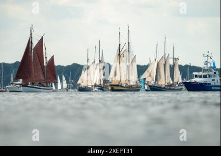 Kiel, Allemagne. 29 juin 2024. De nombreux grands et petits voiliers naviguent sur le fjord de Kiel lors de la parade Windjammer. Crédit : Jonas Walzberg/dpa/Alamy Live News Banque D'Images