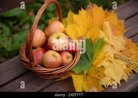 pommes dans un fond de panier rouge et jaune Banque D'Images