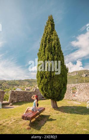 Une femme est assise sur un banc devant un grand arbre. La scène est paisible et sereine, avec la fille profitant de la vue Banque D'Images