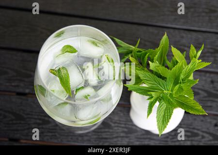 Menthe poivrée fraîche verte Mentha piperita feuille à l'intérieur du cube de glace dans le verre dans l'eau avec menthe poivrée fraîche à l'intérieur du vase. Concept de boisson rafraîchissante d'été. Banque D'Images