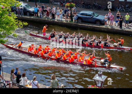 29. 06. 2024 : Leyde, pays-Bas, COURSES traditionnelles DE BATEAUX-DRAGONS ROUGES dans le canal de Leyde, les équipes d'aviron s'affrontent dans les longs bateaux Banque D'Images