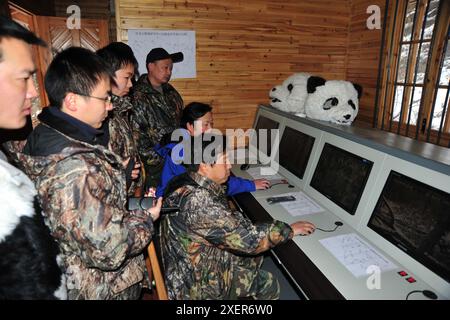 (240629) -- WOLONG, 29 juin 2024 (Xinhua) -- cette photo prise le 20 novembre 2010 montre des membres du personnel surveillant les champs d'entraînement sauvages du panda géant de la base du panda Hetaoping à Wolong, dans la province du Sichuan, au sud-ouest de la Chine. Ces dernières années, la Chine a fait des progrès significatifs dans la conservation des pandas grâce à une série de mesures, notamment la protection des forêts et de la faune sauvage ainsi que la construction de parcs nationaux de pandas géants. La population sauvage de panda géant en Chine est passée d'environ 1 100 dans les années 1980 à près de 1 900. La réintroduction du panda géant fait référence à la libération du panda géant élevé en captivité Banque D'Images