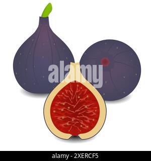 Figues fruits entiers avec la moitié sur fond blanc. Illustration de Vecteur