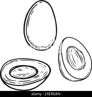 Dessin de ligne de vecteur d'oeufs durs isolé sur fond blanc. Illustration de Vecteur