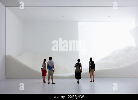 Tokujin Yoshioka, Mori Art Museum, Roppongi Hills Mori Tower, Tokyo, Japon. Banque D'Images