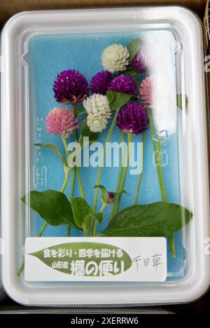 Fleurs comestibles, légumes du marché de Tsukiji, à Tokyo, au Japon. Banque D'Images